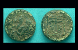 Troas. Skepsis, Pegasus with Fir Tree Reverse!